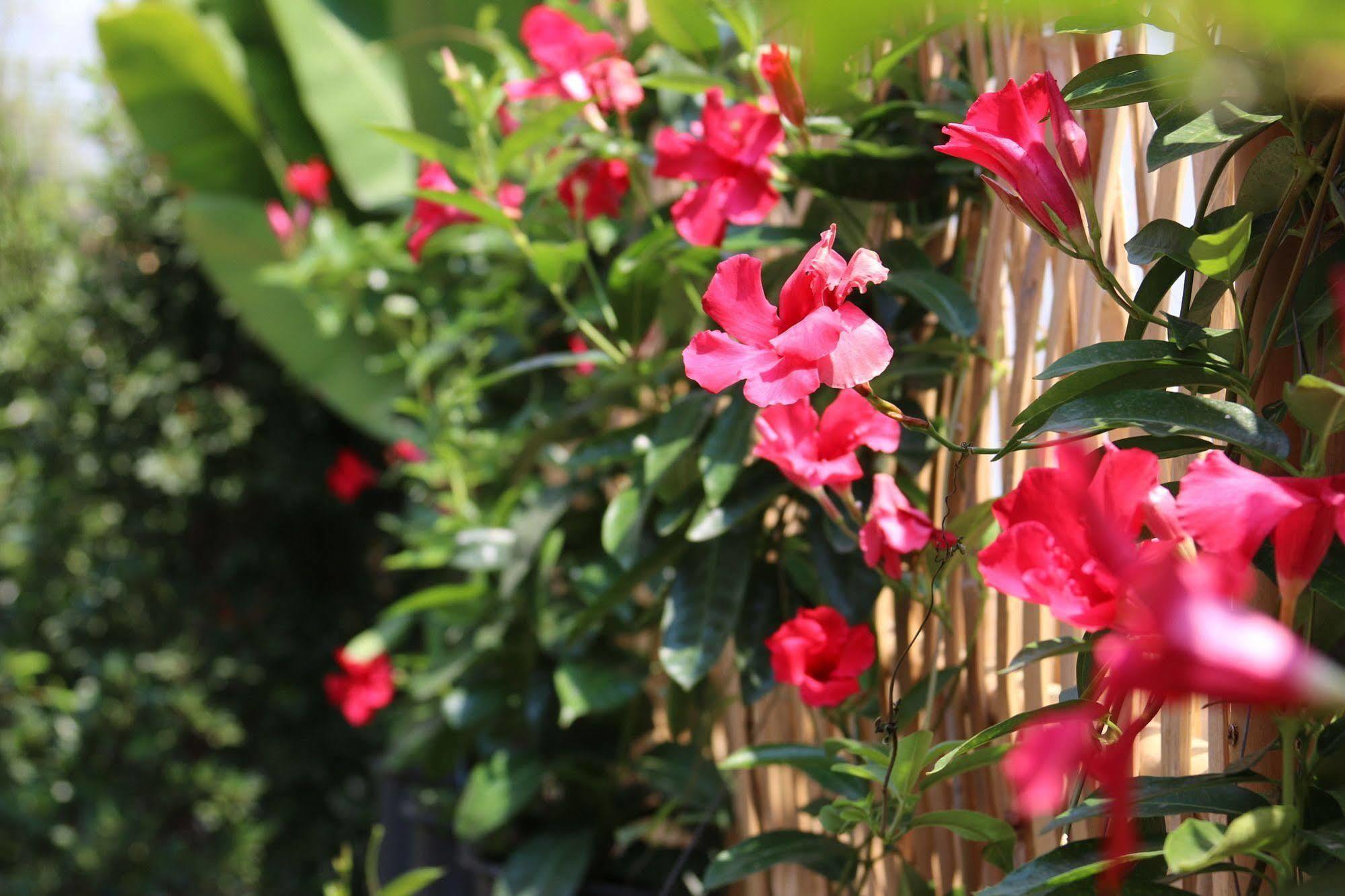 Joyful Thai Boutique Hotel Чиангмай Екстериор снимка